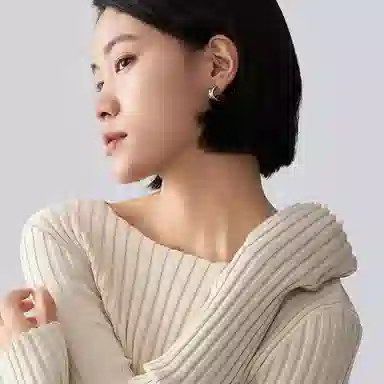 ins 925