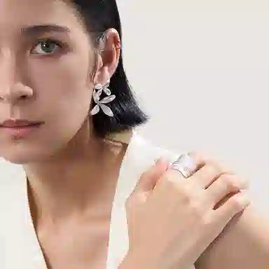 ins 925