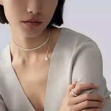ins 925