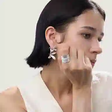 ins 925