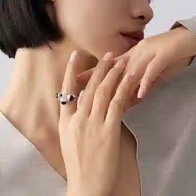 ins 925