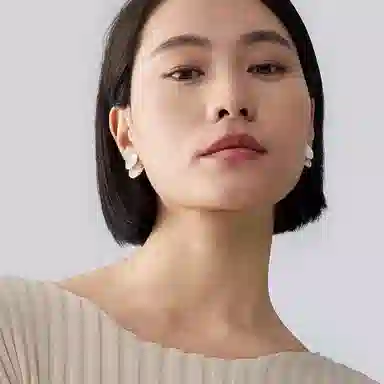 ins 925