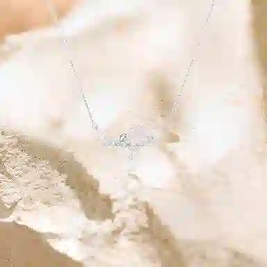 S925