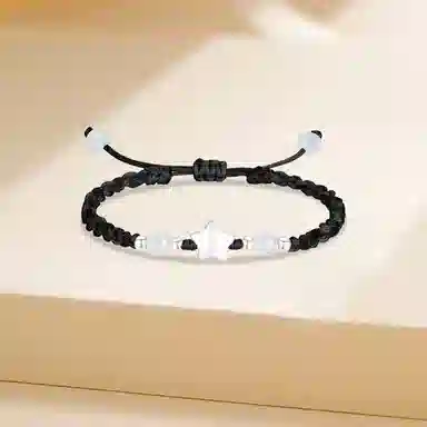 ins s999