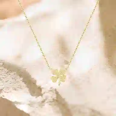 ins S925