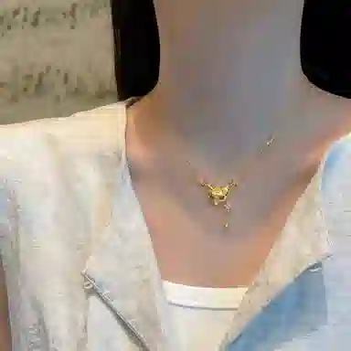 ins s925