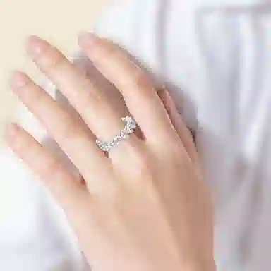 ins S925