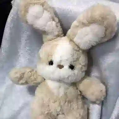 Brangdy 35cm