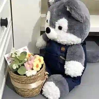 Brangdy 35cm50cm