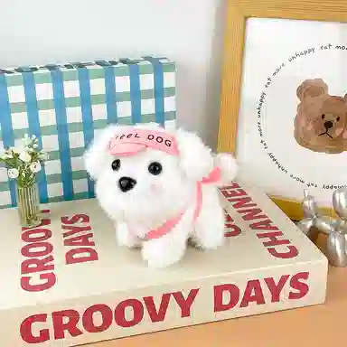 Brangdy 10cm