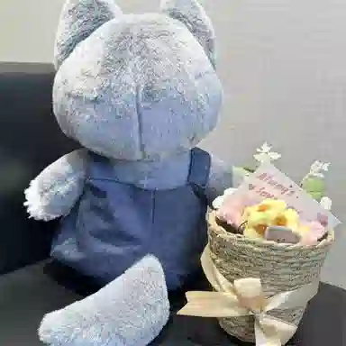 Brangdy 35cm50cm