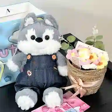 Brangdy 35cm50cm