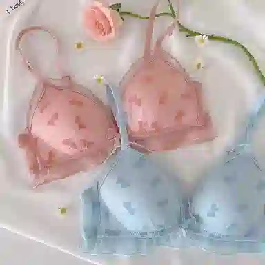 Maycaur