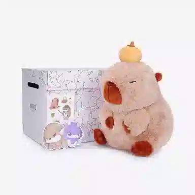 ZEIO 25cm