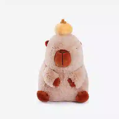ZEIO 25cm