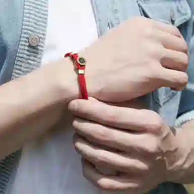 灰鱼 十二生肖红绳原创小众设计新中式国潮风蛇年本命年简约高级感轻奢复古个性手工编织绳编制手绳叠戴好运 合金 手链 男女同款情侣款