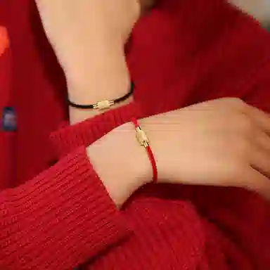 灰鱼 新中式国潮十二生肖原创设计素款小众属蛇年本命年红绳转运珠手工编织简约叠戴九紫离火手绳太岁年好运 合金 手链 男女同款情侣款