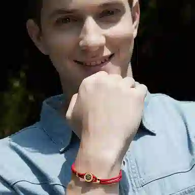 灰鱼 十二生肖红绳原创小众设计新中式国潮风蛇年本命年简约高级感轻奢复古个性手工编织绳编制手绳叠戴好运 合金 手链 男女同款情侣款