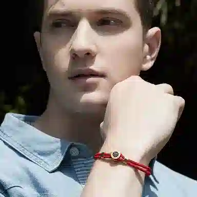 灰鱼 十二生肖红绳原创小众设计新中式国潮风蛇年本命年简约高级感轻奢复古个性手工编织绳编制手绳叠戴好运 合金 手链 男女同款情侣款