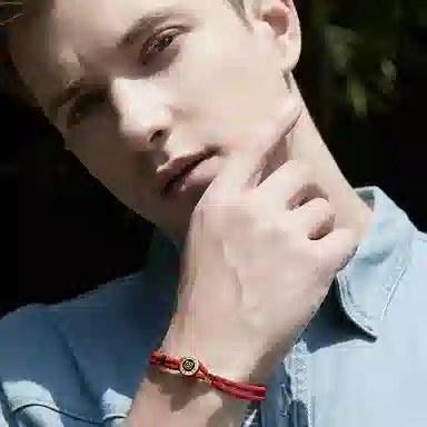 灰鱼 十二生肖红绳原创小众设计新中式国潮风蛇年本命年简约高级感轻奢复古个性手工编织绳编制手绳叠戴好运 合金 手链 男女同款情侣款