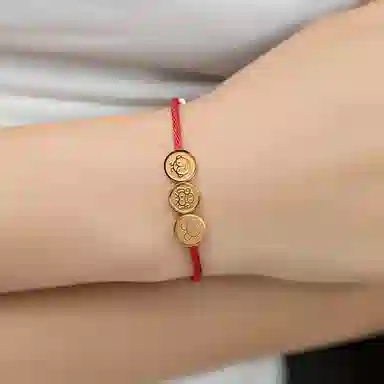 灰鱼 十二生肖三合生肖原创小众新中式国潮古风太岁蛇年本命年简约高级感个性手工编织绳手绳串珠子好运 红绳 手链 男女同款情侣款