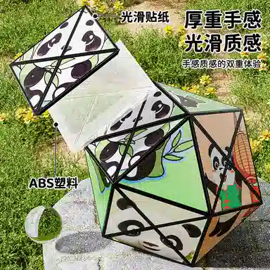 SNAEN 3D