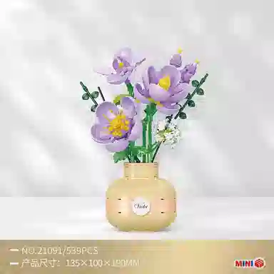 SNAEN MG1281-4