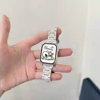 applewatchs9iWatchs87se PC