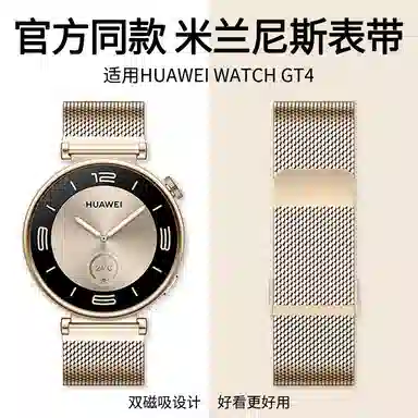 GT4 41mm GT3GT2WATCH43pro4pro