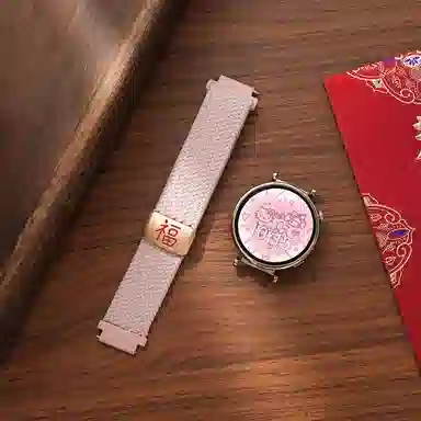 gt5 gt4gt3pro2gt5watch4 22cm