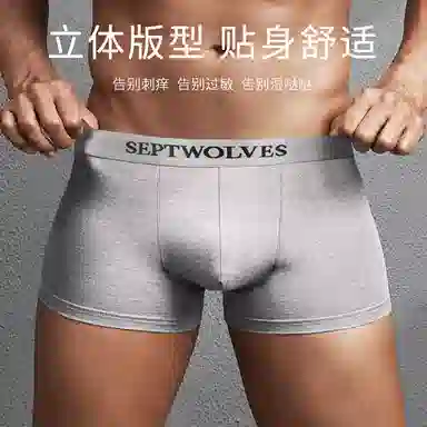 SEPTWOLVES 4