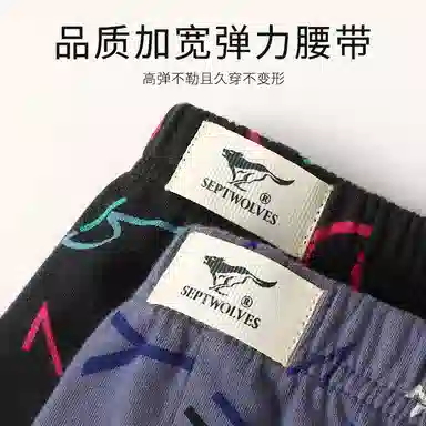 SEPTWOLVES 3A