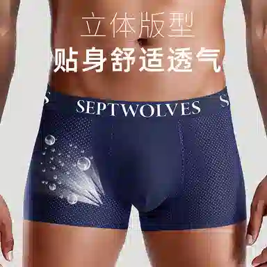 SEPTWOLVES 4