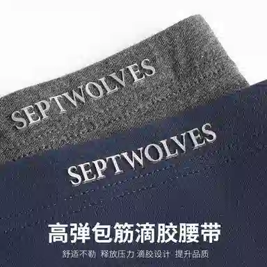 SEPTWOLVES 4