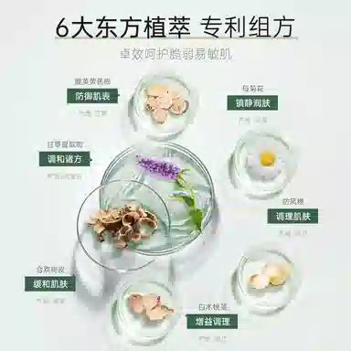 THE OLIFE SHOP 100ml+100g