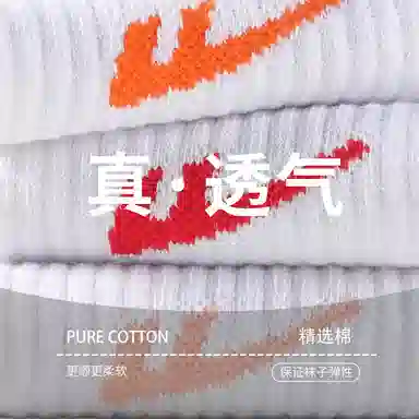 Warrior 5