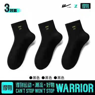 Warrior 3