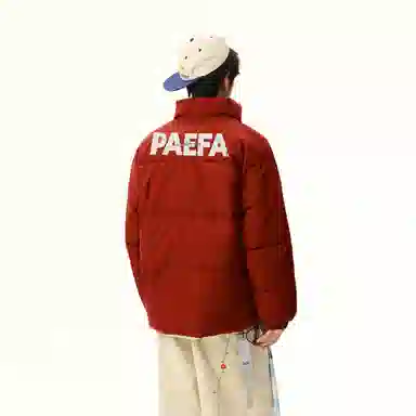 PAEFA logo
