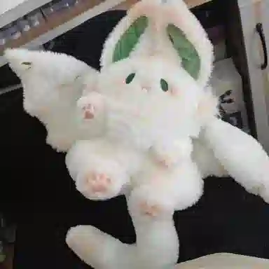 25cm