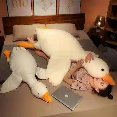 QULEBEAR 50cm90cm130cm160cm190cm