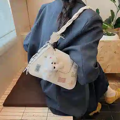 JIANGLIDA PU