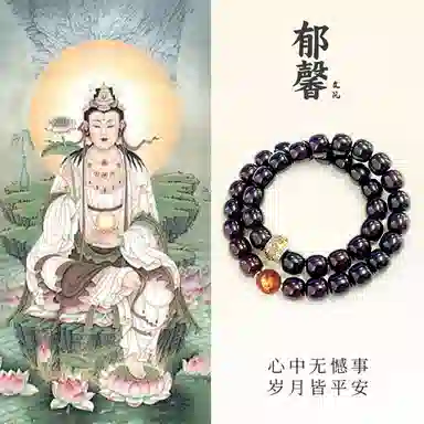 【不动明王|金榜题名】 郁馨 鸡祥如意十二生肖八大守护神 双圈溏心老料桶珠佛珠手饰本命年转运#好运 菩提根 手串 男女同款情侣款