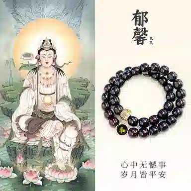 【不动明王|金榜题名】 郁馨 鸡祥如意十二生肖八大守护神 双圈溏心老料桶珠佛珠手饰本命年转运#好运 菩提根 手串 男女同款情侣款