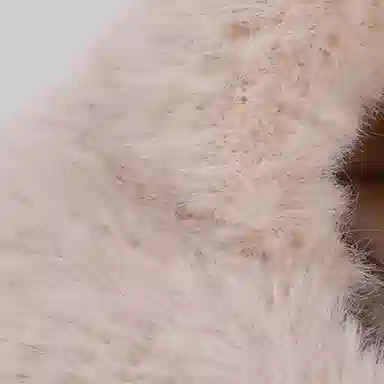 山一丸 卡通可爱小熊面罩围脖一体帽冬季户外毛绒保暖针织帽 涤纶 绒线帽 儿童款