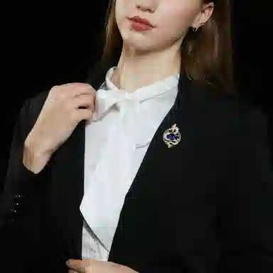 山一丸 中国风多用途复古衣饰西装领针开衫防走光别针配饰珐琅飞龙 环保铜 胸针 女款
