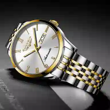 GUANQIN Automatic Mechanical Watch