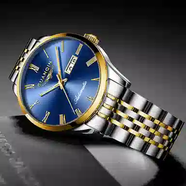 GUANQIN Automatic Mechanical Watch
