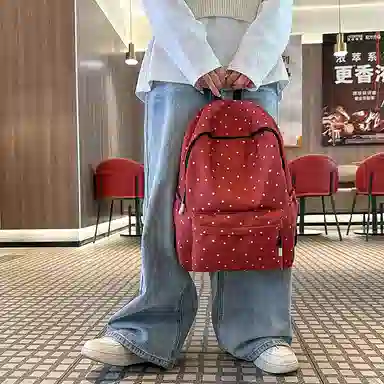 MingLu Nylon Backpack