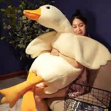 40cm70cm90cm135cm160cm