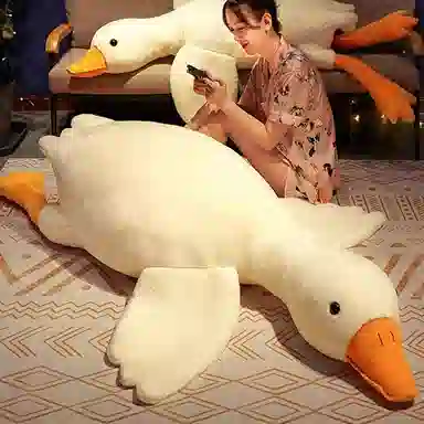 40cm70cm90cm135cm160cm